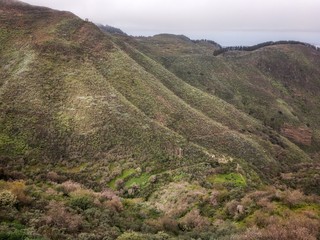 Fototapeta na wymiar Montañas verdes del norte de Gran Canaria