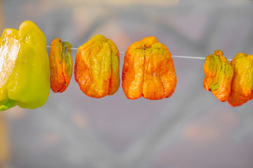 Dried and winter prepared eggplant, pepper and stuffed peppers