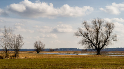 Wiosna nad Narwią. Dolina Górnej Narwi. Rozlewiska Narw