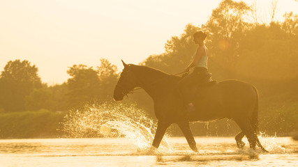 LENS FLARE: Scenic shot of girl crossing the cold river while riding her mare.