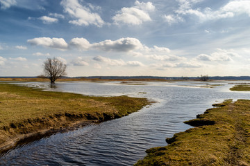 Wiosna nad Narwią. Dolina Górnej Narwi. Rozlewiska Narw