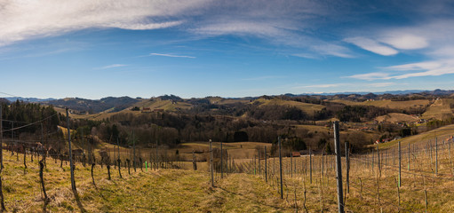 Naklejka premium Panorama of Vineyards. Leibnitz area south Styria travel spot