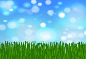 Fototapeta na wymiar summer or spring background with green grass, blue sky and highlights