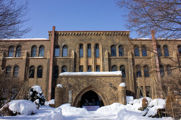 北海道大学、北大、北海道大学総合博物館、冬
