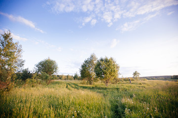 Spring summer background - rural road in green grass field meadow scenery lanscape with blue sky
