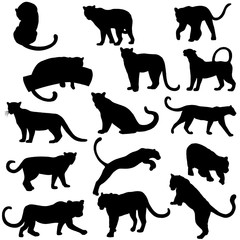 Set of hand drawn sketch style silhouettes of leopards isolated on white background. Vector illustration.