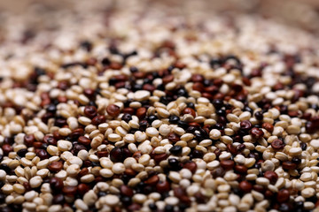 Quinoa drei Sorten Mischung