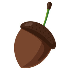 acorn icon image