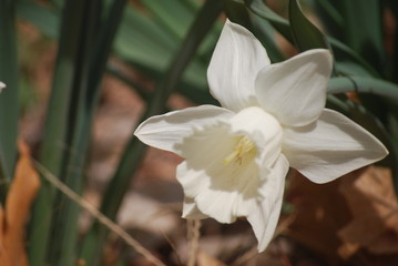 Obraz premium BP 0789