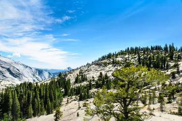 Vista del Parco Nazionale Yosemite © Giorgio