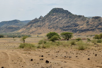 The arid landscapes of Lake Magadi, Rift Valley, Kenya