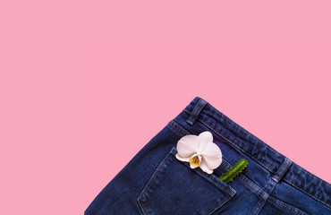 Creative layout of jeans, cactus and white orchid flower on pink background. 