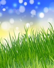 summer or spring background with green grass, blue sky, sunlight and highlights
