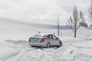 Winter landscape with tree and car