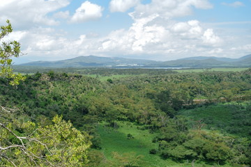 Fototapeta na wymiar Lake Naivasha and Mount Longonot seen from Crater Lake, Naivasha, Rift Valley
