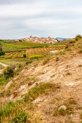 Fototapeta na wymiar Beautiful agricultural May landscape on the Way of St. James, Camino de Santiago in Navarre, Spain, the Cirauqui or Zirauki urban skyline in the distance