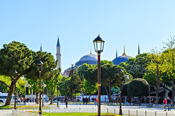 Obraz premium Ottoman architecture Istanbul, Turkey.