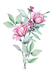 Naklejka na ściany i meble Peonies, watercolor pink flowers bouquet. Floral summer illustration isolated on white background. Hand drawing. Perfectly for wedding, birthday, party and other greeting card design.