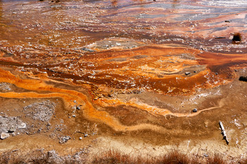 Yellowstone National Park, beautiful nature created abstract art, formed by colorful layers of bacteria and mud