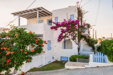 The typical cyclades style with colorful flowers in Paros island, Greece
