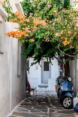 Fototapeta na wymiar The typical cyclades style with colorful flowers in Paros island, Greece