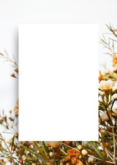 아름다운 봄꽃 배너&프레임, 세일,초대장 배경