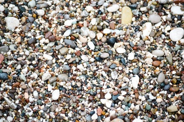 abstract background with dry round reeble stones