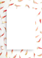 아름다운 봄꽃 배너&프레임, 세일,초대장 배경