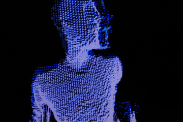 3D human figure in polygonal mesh.