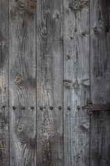 Gray old wood texture with rusty metal nails
