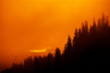 Obraz premium Misty Mountain Forest With Lake in Background Golden Glow