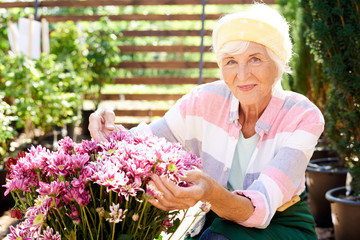 Portrait of happy senior woman looking at camera while posing with flowers in garden lit by sunlight