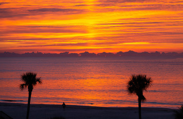 Obraz na płótnie Canvas A brilliant sunrise off the coast of Georgia with Palm Trees in Silhouette