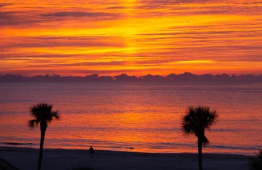 Fototapeten A brilliant sunrise off the coast of Georgia with Palm Trees in Silhouette © dbvirago