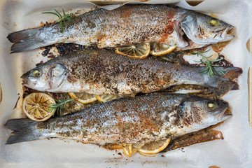 Fish seabass roasted with lemon and herbs