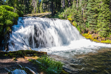 waterfall in the forest