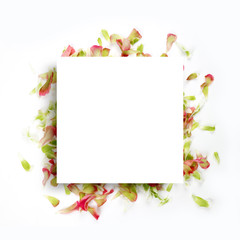 아름다운 봄꽃 배너&프레임, 세일,초대장 배경