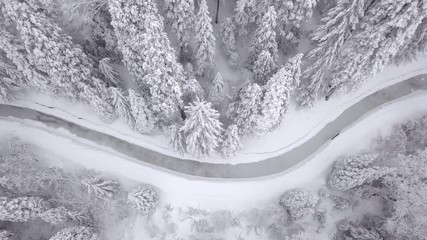 Aerial straight down view of snowy forest and frozen river.