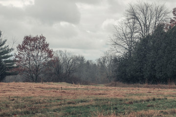 Fototapeta premium Landscape field and a dark stormy sky. depressing day