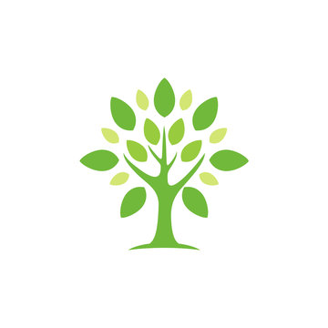 Simple modern tree with green leaves logo design