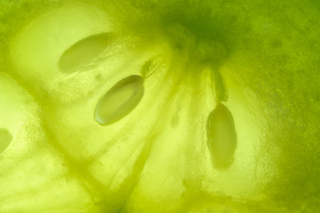 Vegetable abstract background. Super macro shot of fresh cucumber. Detailed background with fibers...