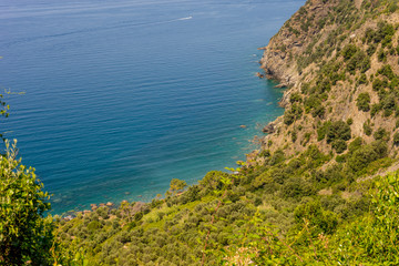 Italy, Cinque Terre, Corniglia, HIGH ANGLE VIEW OF SEA AND TREES
