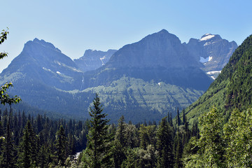 Landscape Forest of Pine Trees in a Valley Below a Snowy Mountain in Glacier National Park, Montana