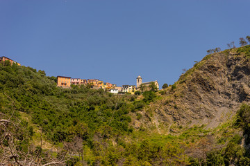 Fototapeta na wymiar Italy, Cinque Terre, Corniglia, a tree with a mountain in the background