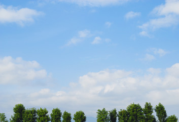 Obraz premium 木 空 雲 山 素材