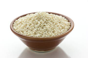 米麹 米こうじ