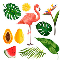 Summer tropical vector design elements, isolated on white background. Illustration of flamingo, palm leaves and fruits.