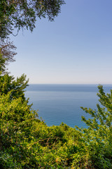 Fototapeta na wymiar Italy, Cinque Terre, Corniglia, a tree next to a body of water
