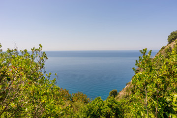Fototapeta na wymiar Italy, Cinque Terre, Corniglia, a tree next to a body of water