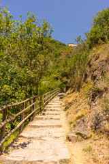 Fototapeta na wymiar Italy, Cinque Terre, Corniglia, FOOTPATH AMIDST TREES AGAINST CLEAR SKY
